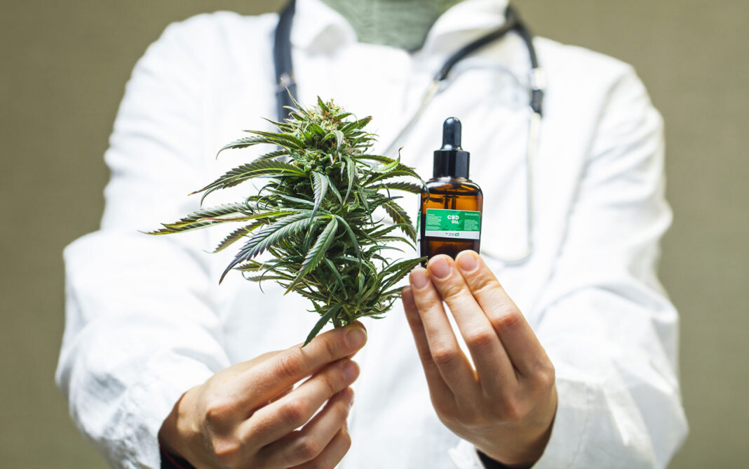 Diputados aprobó la ley para regular el cannabis medicinal