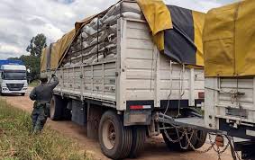Detectan el traslado de 91 toneladas de granos sin la documentación pertinente saliendo del Chaco