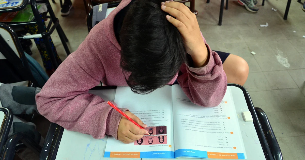 En Argentina «la alfabetización se volvió exclusiva»: «siete de cada diez jóvenes de clase baja no leen»