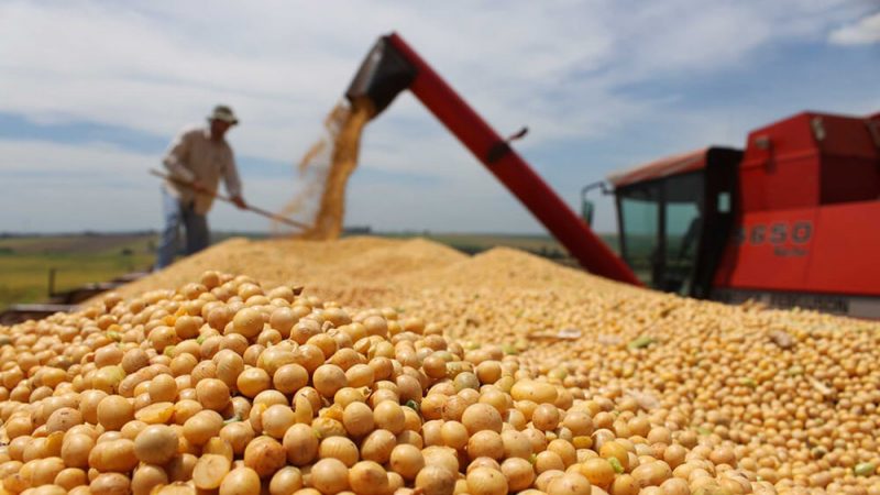 La soja llega a su máximo histórico: US$ 652 la tonelada