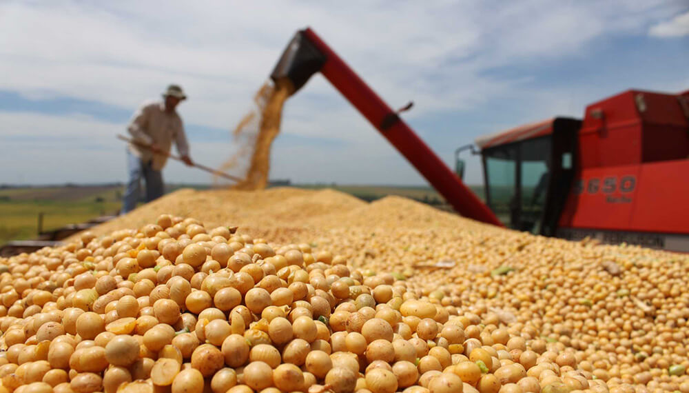 La soja llega a su máximo histórico: US$ 652 la tonelada