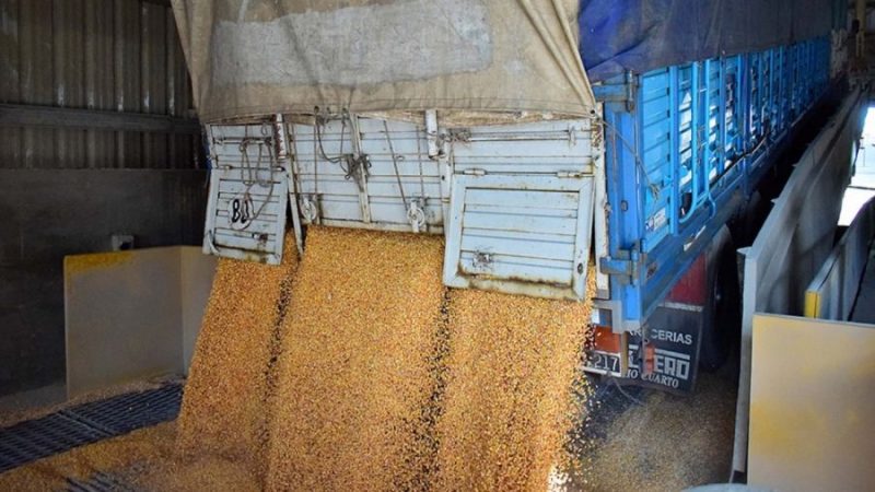 Contrabando: Gendarmería secuestra 60 toneladas de maíz sin declarar en el Chaco