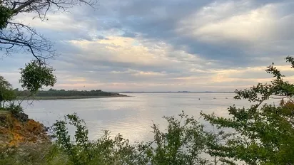 El Senado aprobó la creación en el Chaco del Parque Nacional «Laguna El Palmar»