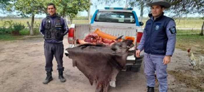 Sujeto es detenido por matar y faenar a un tapir