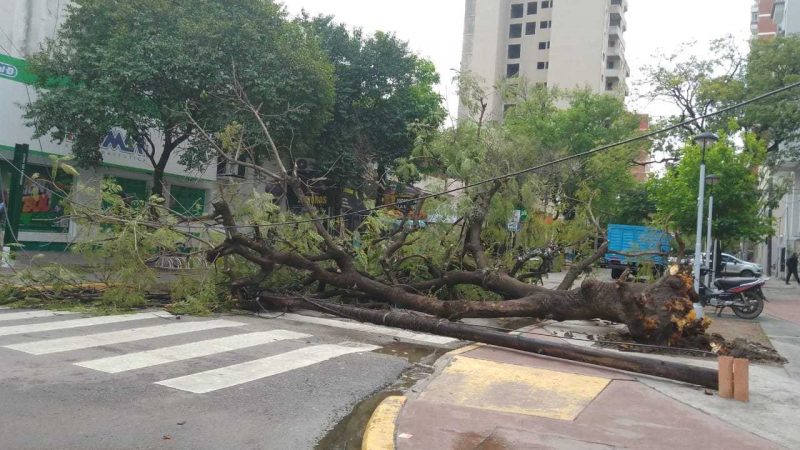 La tormenta con vientos de más de 85 kms/h provoco varios destrozos en Resistencia