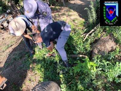 Gral. San Martin: Reintroducen a un yacaré a su habitar en Colonia 7 árboles