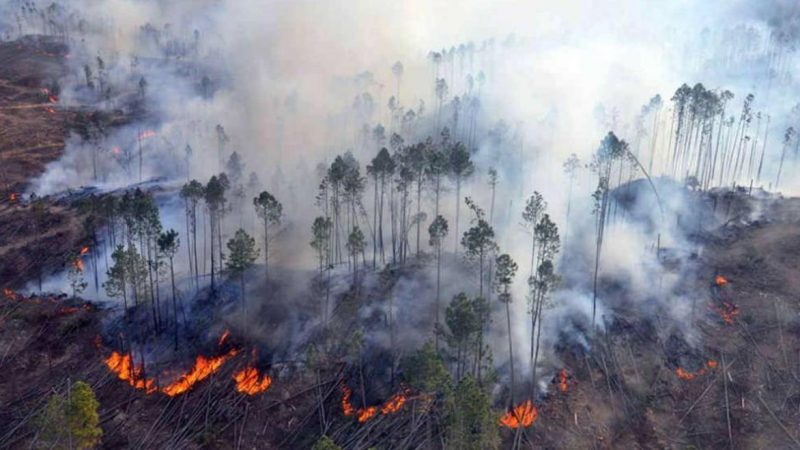 Por la sequia y las altas temperaturas, alertan por la alta posibilidad de incendios forestales