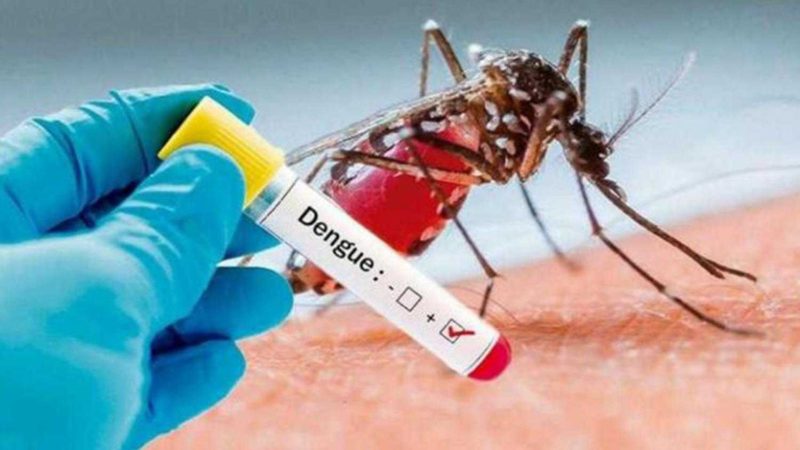 Confirman nuevos casos de Chikungunya y de Dengue en la provincia