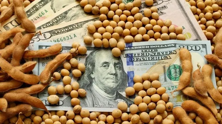 Massa anunciará esta semana una nueva versión del dólar soja y otro dolar para las economías regionales