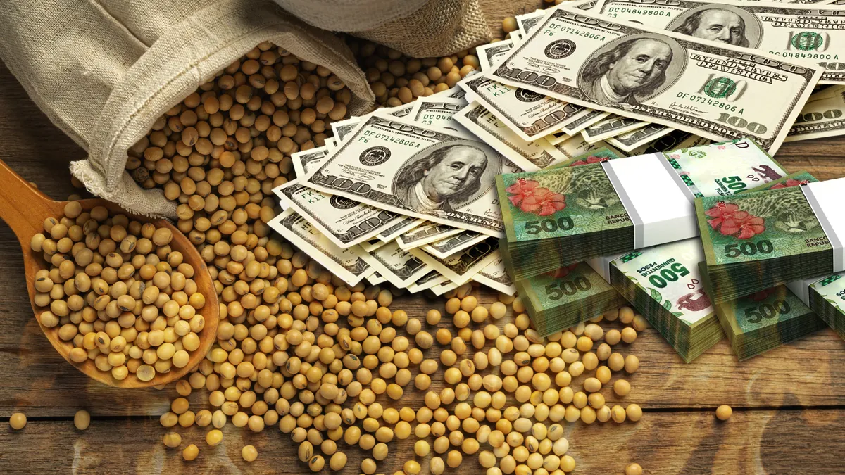 Por la corrieda cambiaria, ahora el campo no quiere vender la soja con un dólar a $300