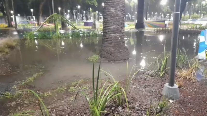 Teresa Celada: «Siempre que llovió, la ciudad se inundó»