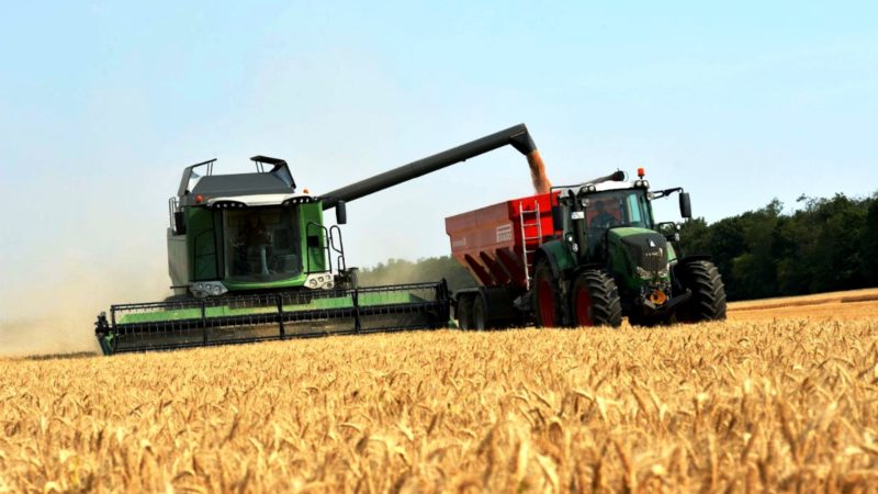 ¿Chau sequía?: esperan importantes lluvias que cambiarían el mal escenario de la cosecha de trigo