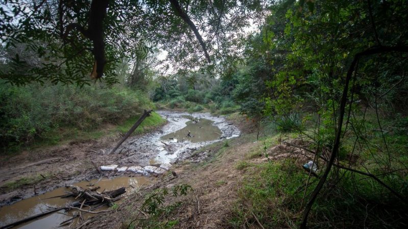 Cecilia Strzyzowski: encontraron más restos óseos quemados en los nuevos rastrillajes en el río Tragadero
