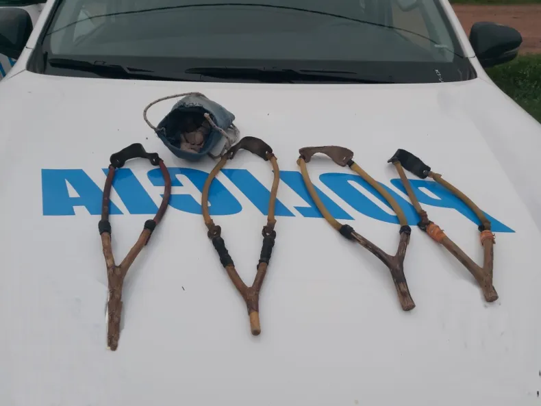 Robaban un jardin, llegó la policia e intentaron defenderse a ondazos: Terminaron presos