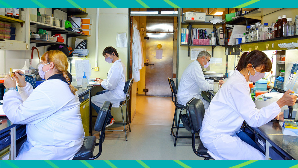 Ciencia Argentina: El Conicet incorporó más de 500 nuevos investigadores