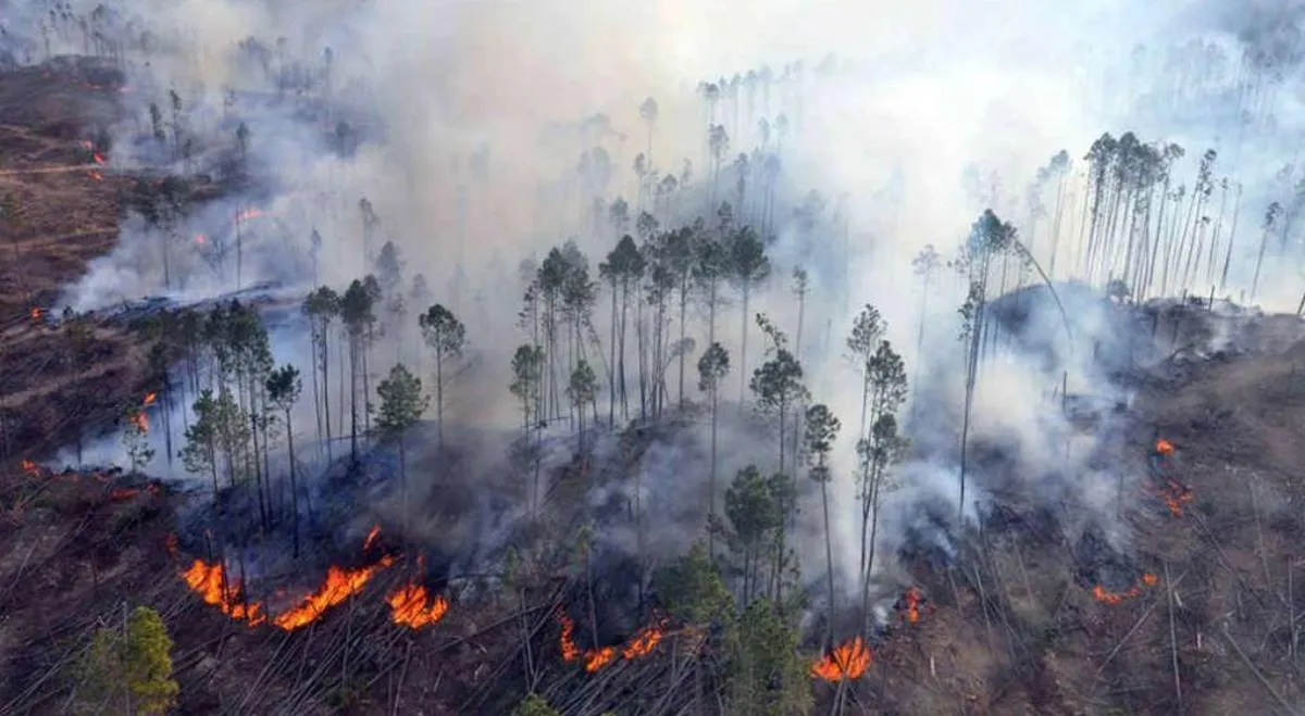 Incendios forestales: Fotos igneos en Miraflores