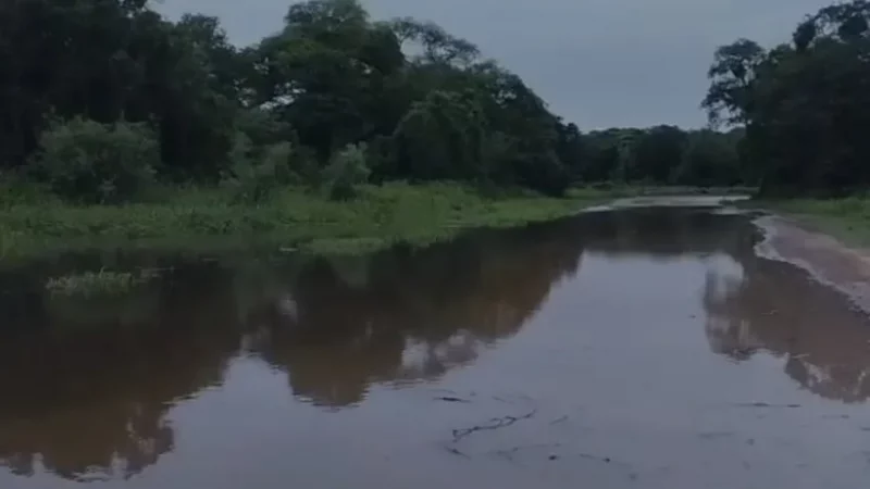 Crecida del Paraná: El avance del Rio ya cortó el camino costero a la Isla del Cerrito