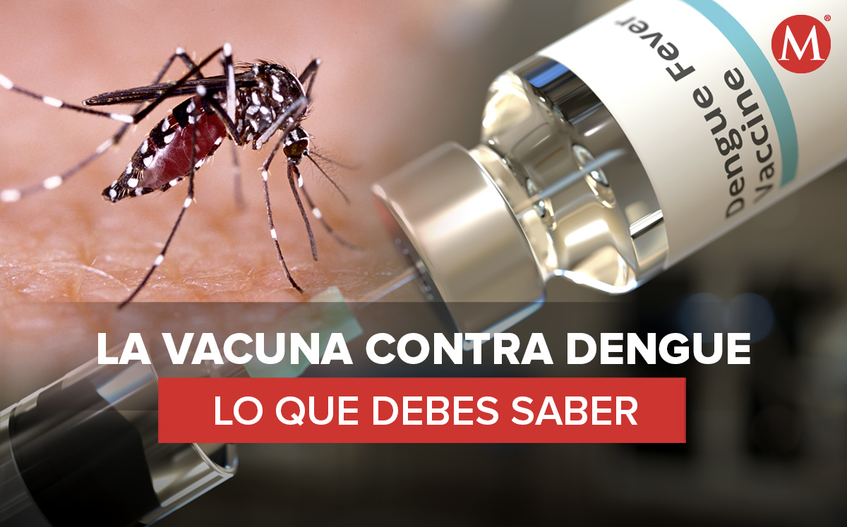 La vacuna contra el dengue llegó a la Argentina