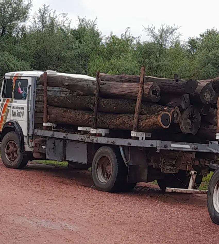 Secuestran un camión transportando ilegalmente 30 toneladas de Palo Santo