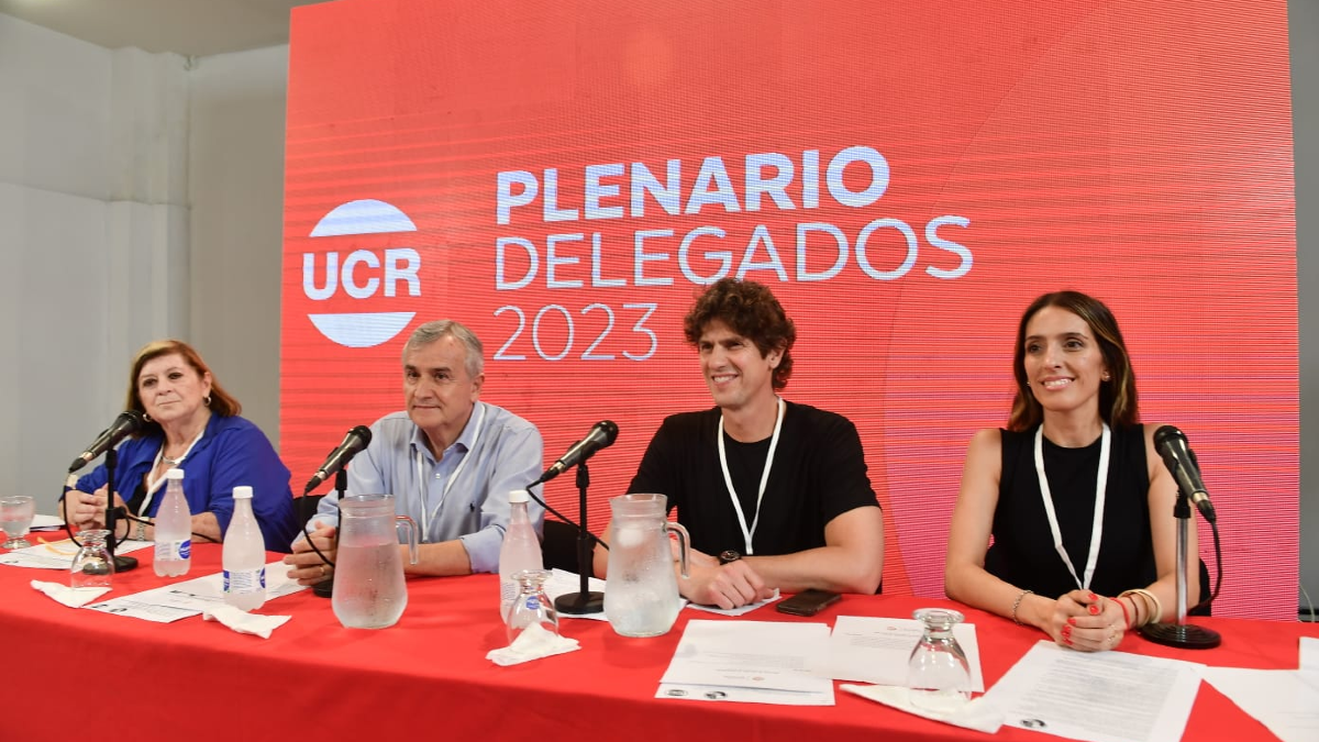 Martín Lousteau es el nuevo presidente de la UCR