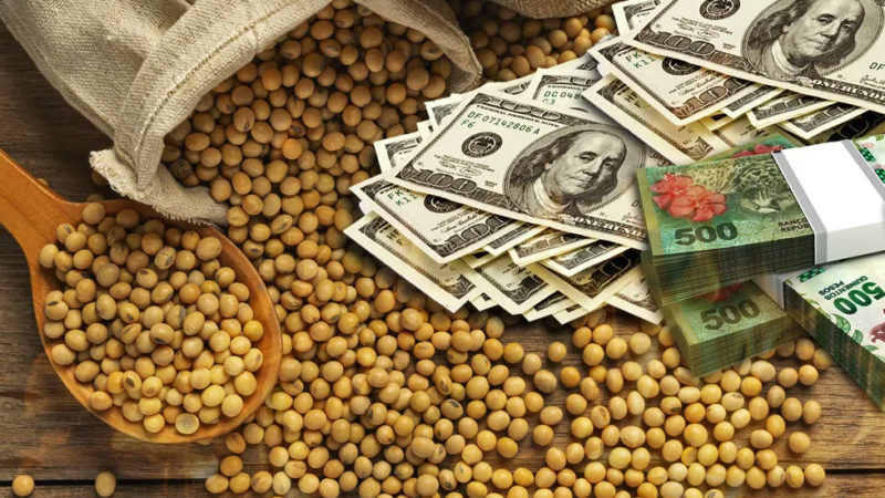 Más impuestazos: El gobierno sube la alícuota para los subproductos de la soja al 33%