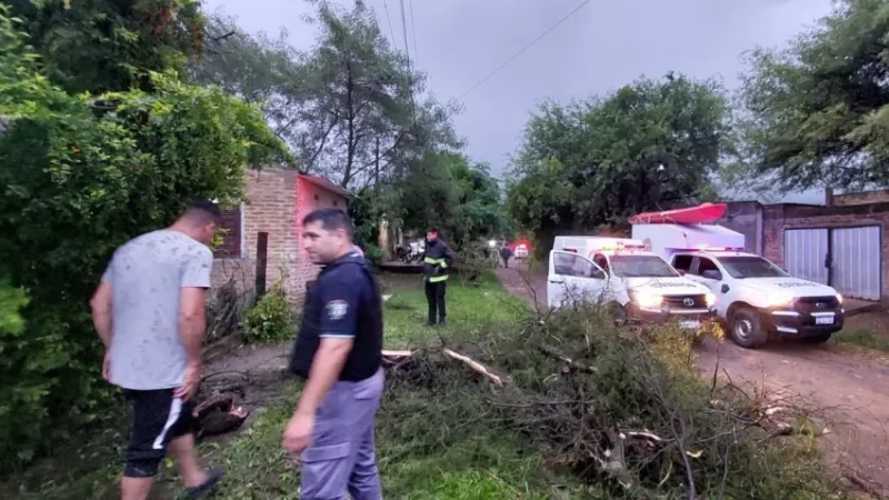 Hombre fallece este miércoles en Resistencia, por la caída de un árbol, en medio de la tormenta