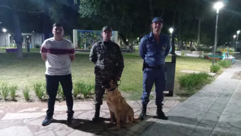 Plan de Seguridad: Policia lleva perros a las plazas públicas
