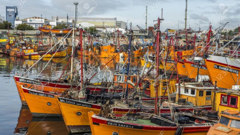 La industria de la pesca denuncia que Milei quiere entregar el mar argentino a empresarios extranjeros 