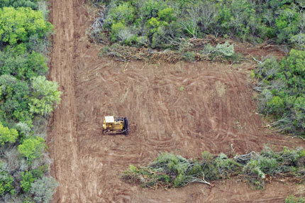 Bosques frenó a 15 topadoras en pleno desmonte en lo que va de 2024
