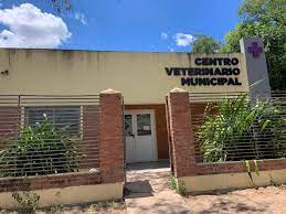 El lunes habrá castración gratuita de mascotas en el Centro Veterinario Municipal