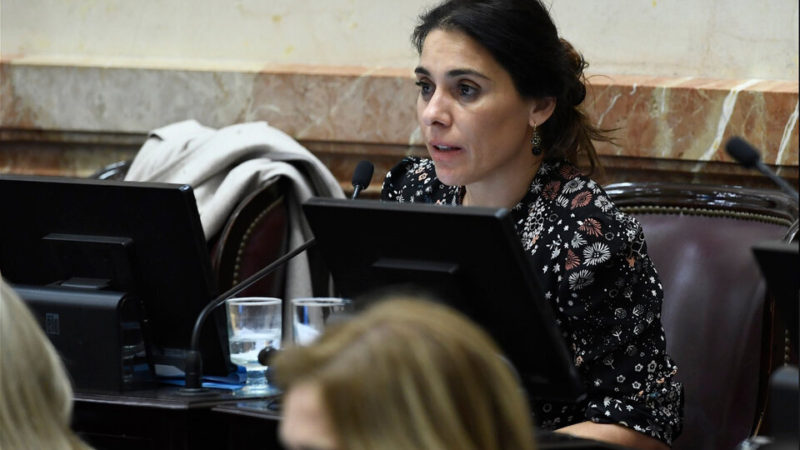 Senadora de Neuquen cambia su voto para la Ley Bases por un cargo de Embajadora en Paris