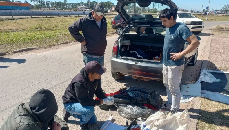 «Narcoenvío»: detuvieron a tres personas que recibieron más de 50 kilos de marihuana por encomienda