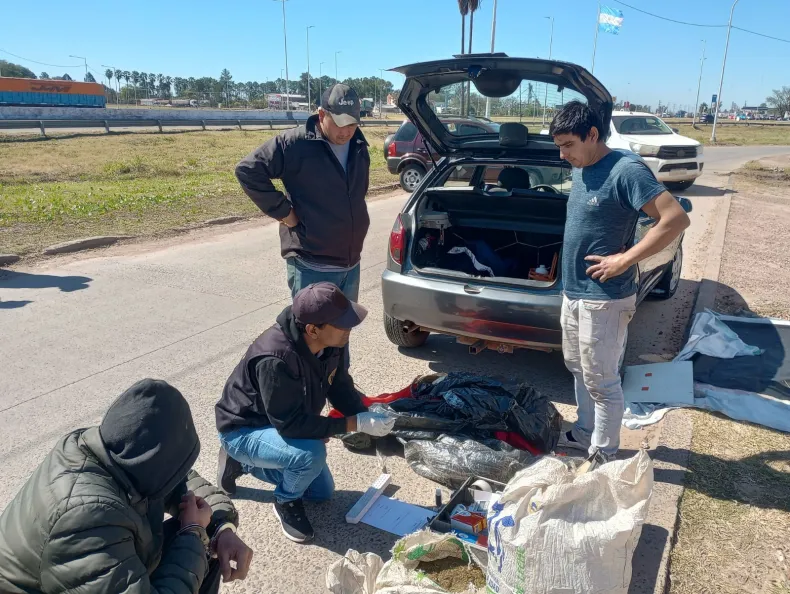 «Narcoenvío»: detuvieron a tres personas que recibieron más de 50 kilos de marihuana por encomienda