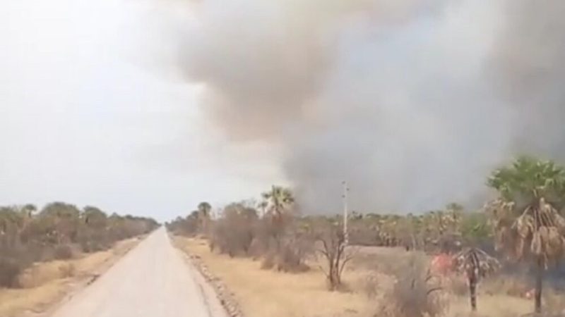 Cielo de humo: Cómo afecta la salud y cuáles son las recomendaciones