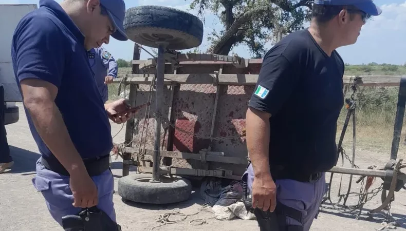 Tragedia por la tracción a sangre: Niño de 7 años fallece al ser aplastado por un carro