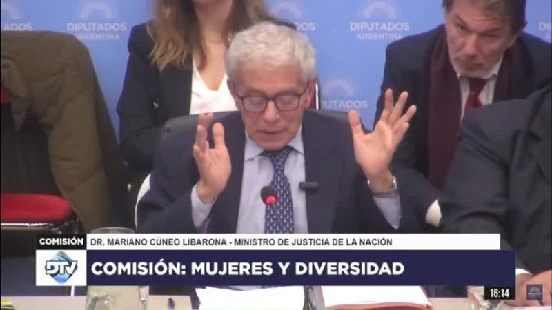 Cúneo Libarona confirmó que eliminarán la figura del femicidio: «Buscan privilegios»