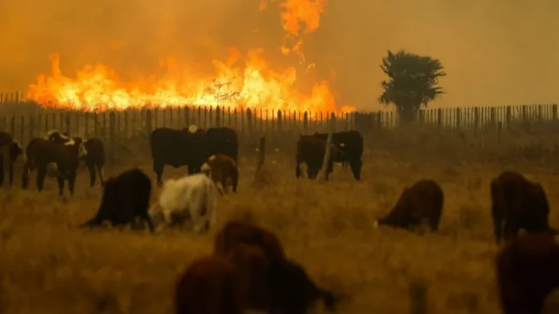 Alertan peligro extremo por posibles incendios en zonas urbanas y rurales de la provincia