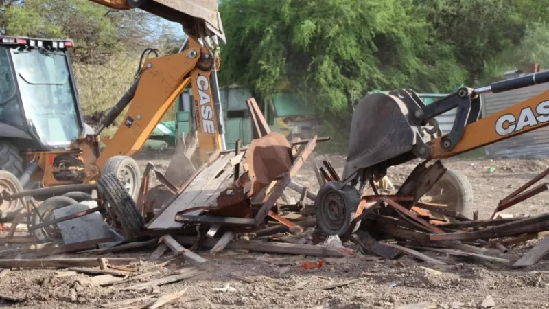 La Justicia ordenó la destrucción de cinco carros secuestrados por maltrato animal