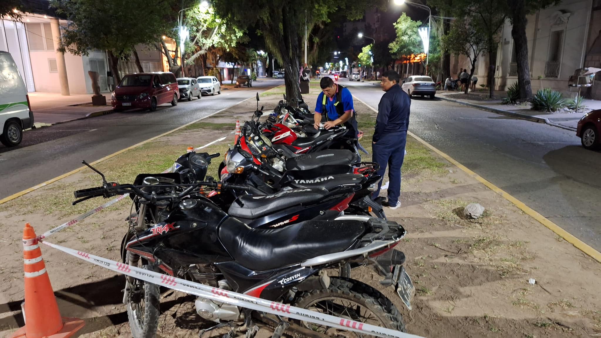 La Municipalidad de Resistencia en conjunto con las fuerzas de seguridad realizaron un importante operativo antiwileros: 43 vehiculos secuestrados
