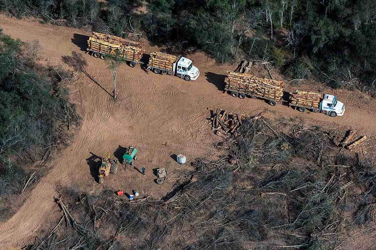 Logran frenar desmontes ilegal en cercanías a los Frentones gracias a la interconectividad instalada entre los equipos de inspección