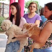 El Centro Veterinario Municipal continua con sus operativos de castraciones