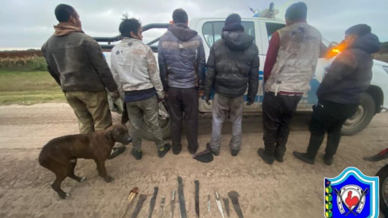 Demoran a cinco sujetos y secuestran más de 200 kilos de carne por caza ilegal y portación de armas blancas