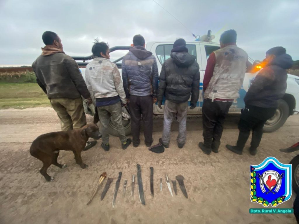 Demoran a cinco sujetos y secuestran más de 200 kilos de carne por caza ilegal y portación de armas blancas