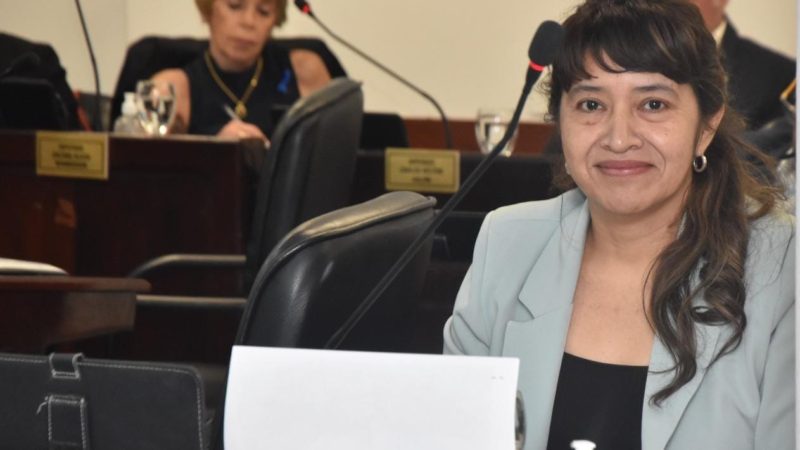 Diputados PJ piden la intenvención del Tribunal de disciplina del PJ para «enjuciar» a Charole por su voto en contra de la clausula gatillo docente