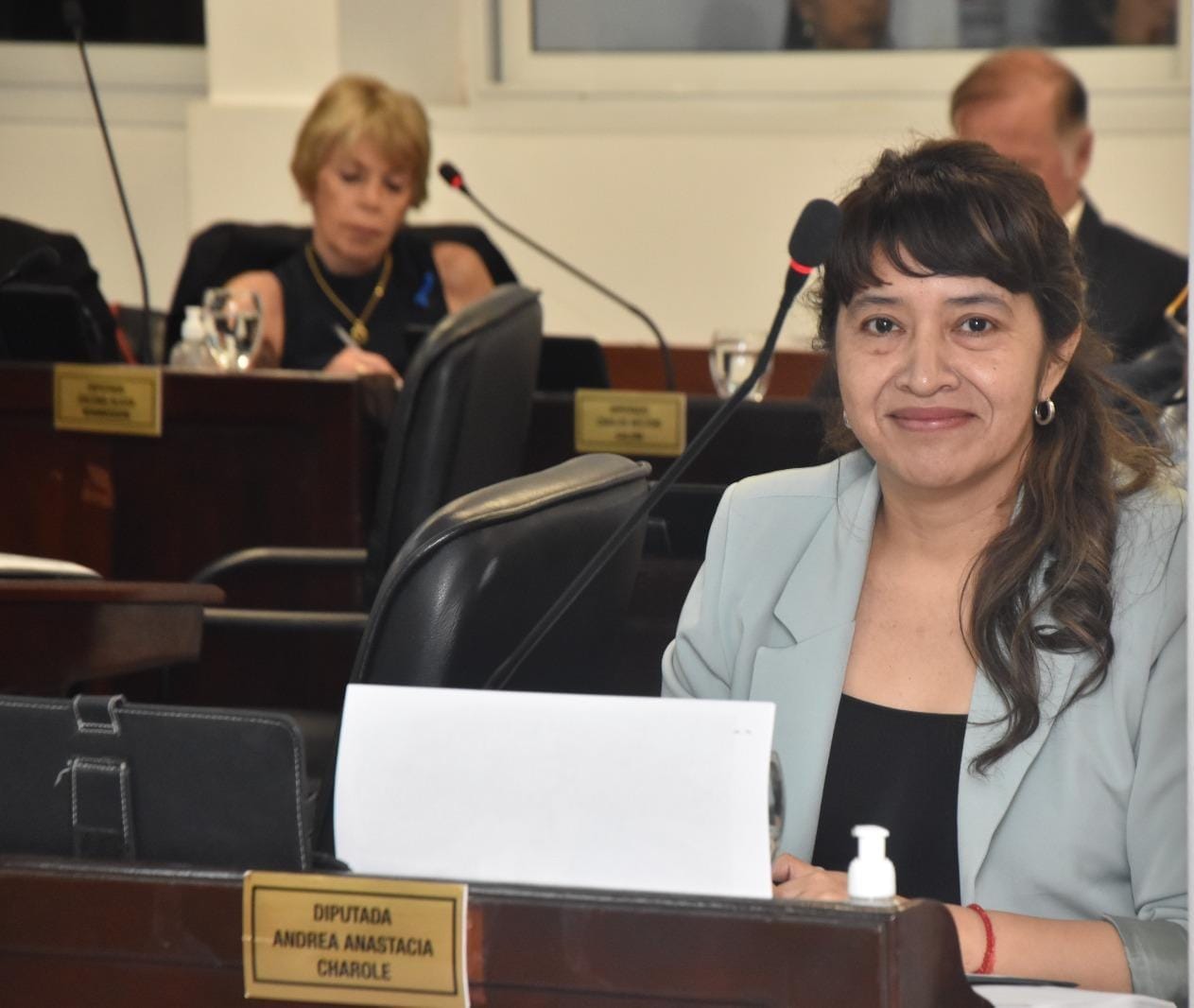 Diputados PJ piden la intenvención del Tribunal de disciplina del PJ para «enjuciar» a Charole por su voto en contra de la clausula gatillo docente