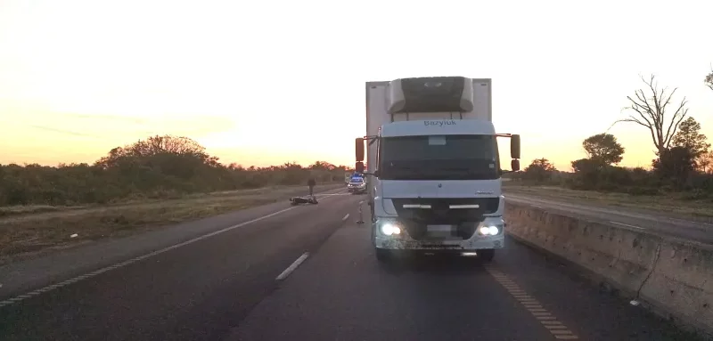 Otro accidente sobre la ruta nacional N° 16 provocada por un animal suelto