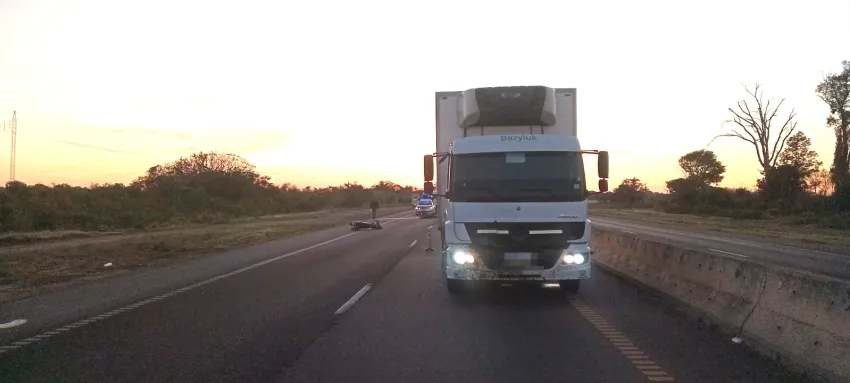 Otro accidente sobre la ruta nacional N° 16 provocada por un animal suelto