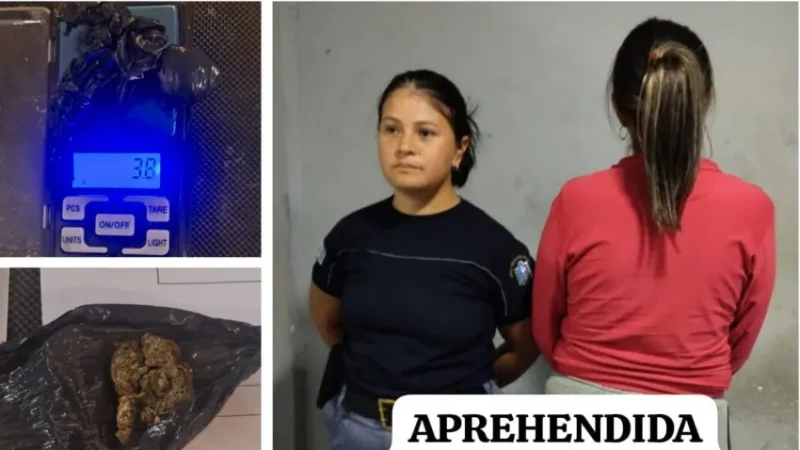 Intentó pasar drogas en la Comisaría 2da. de Resistencia, fue descubierta y terminó presa
