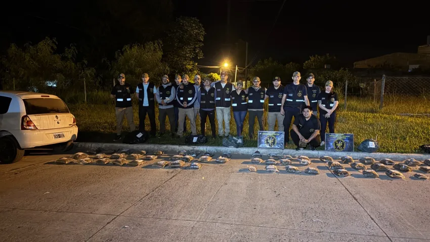 La Leonesa: Detienen a automovilista circulando con más de de 53 kilos de marihuana