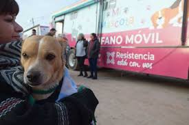 Este jueves, nueva jornada de castración gratuita en Resistencia